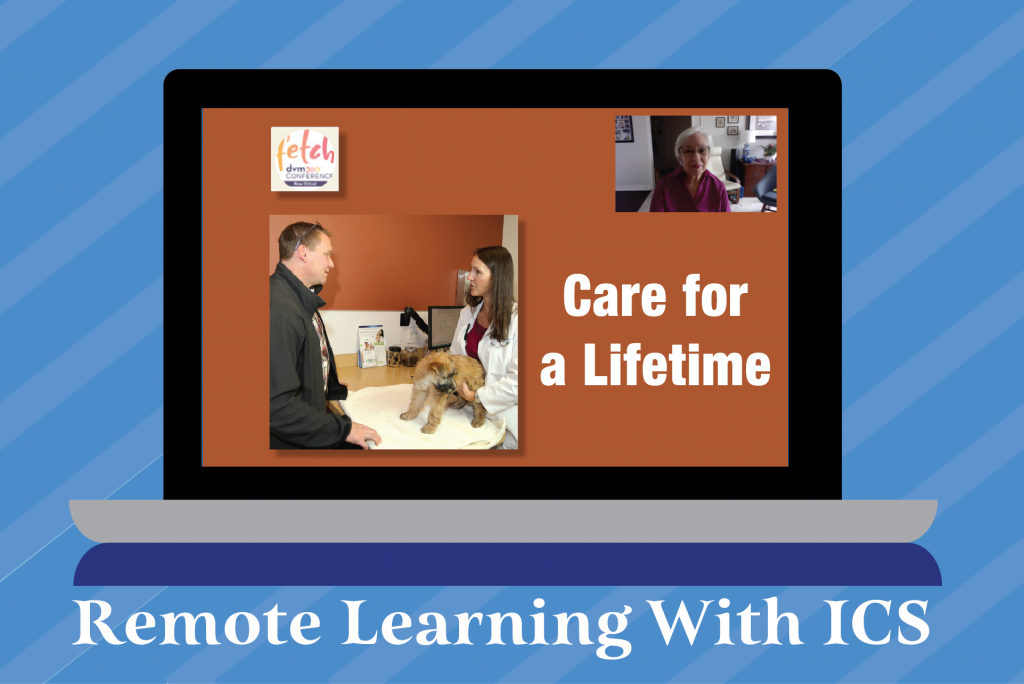 Remote Learning Veterinary Presentations